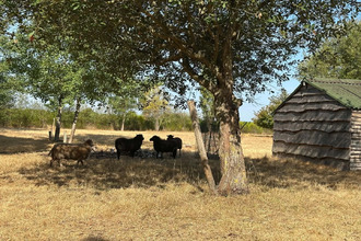 achat maison st-lambert-du-lattay 49750