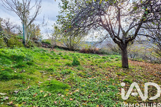 achat maison st-laurent-d-olt 12560