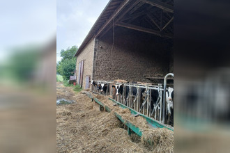 achat maison st-laurent-sur-gorre 87310