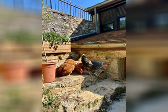 achat maison st-martial-d-albarede 24160