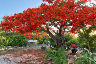 achat maison st-martin 97150