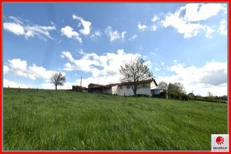 achat maison st-martin-d-estreaux 42620