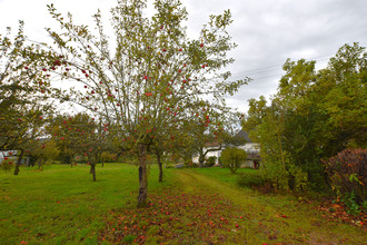 achat maison st-martin-d-estreaux 42620