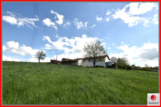 achat maison st-martin-d-estreaux 42620