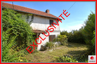 achat maison st-martin-d-estreaux 42620