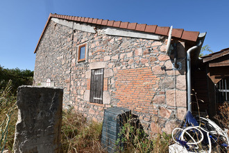 achat maison st-martin-d-estreaux 42620