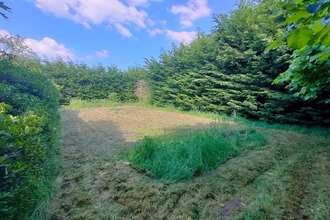 achat maison st-martin-des-tilleuls 85130