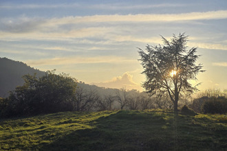 achat maison st-michel-de-chabrillanoux 07360