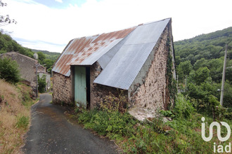 achat maison st-nectaire 63710