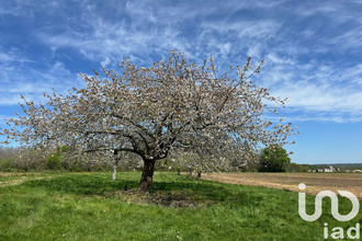 achat maison st-palais-de-negrignac 17210