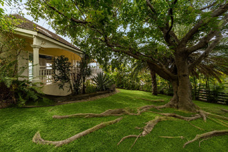 achat maison st-paul 97460