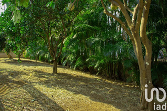 achat maison st-pierre 97410