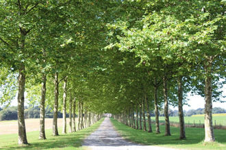 achat maison st-pierre-des-landes 53500