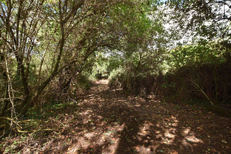 achat maison st-pierre-laval 42620