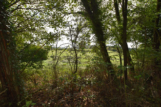 achat maison st-pierre-laval 42620