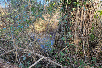 achat maison st-pourcain-sur-sioule 03500