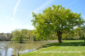 achat maison st-prouant 85110