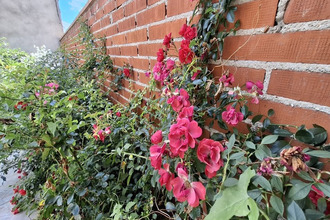 achat maison st-quentin 02100