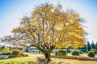 achat maison st-remy-de-provence 13210