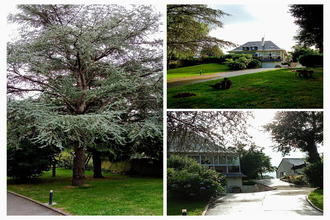 achat maison st-senoux 35580