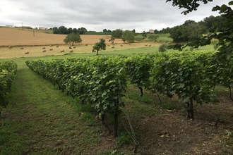 achat maison st-severin 16390