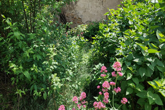 achat maison st-sorlin-en-bugey 01150