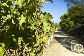 achat maison st-tropez 83990