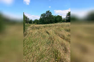 achat maison st-vidal 43320