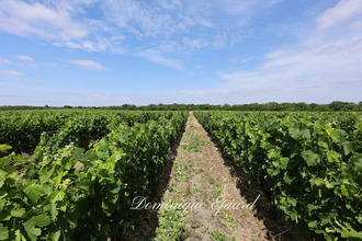 achat maison st-yzans-de-medoc 33340