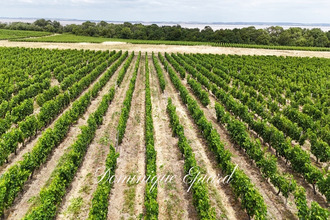achat maison st-yzans-de-medoc 33340