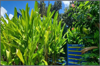 achat maison ste-anne 97180