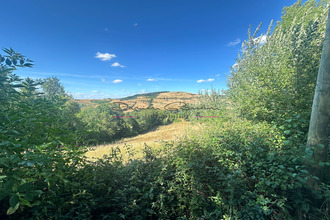 achat maison ste-colombe-sur-gand 42540