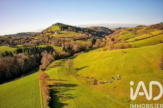 achat maison ste-colombe-sur-gand 42540