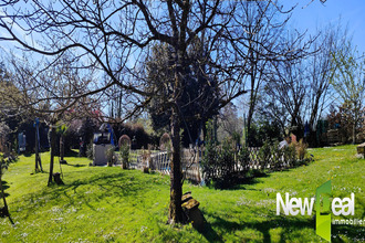 achat maison ste-fereole 19270