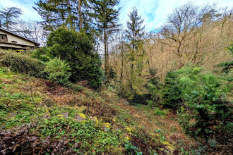 achat maison ste-foy-les-lyon 69110