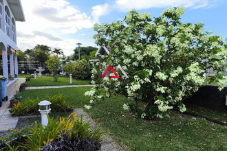 achat maison ste-marie 97438