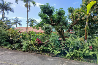 achat maison ste-rose 97439