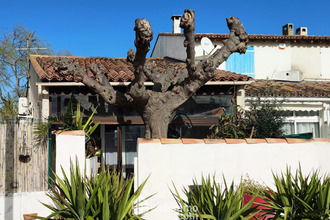 achat maison stes-maries-de-la-mer 13460