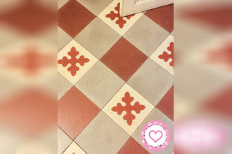 achat maison sully-sur-loire 45600