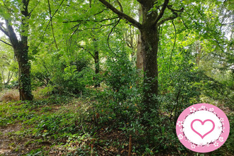 achat maison sully-sur-loire 45600