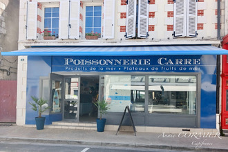 achat maison sully-sur-loire 45600