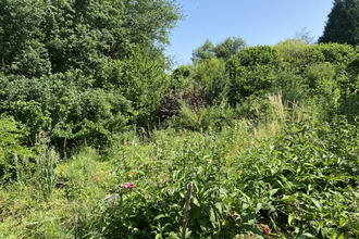 achat maison sussac 87130