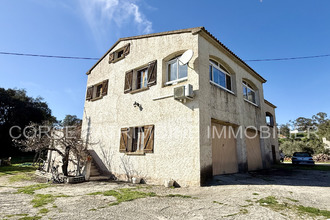 achat maison tallone 20270