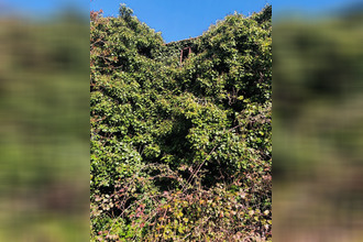 achat maison thaire 17290