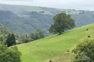 achat maison thiezac 15800