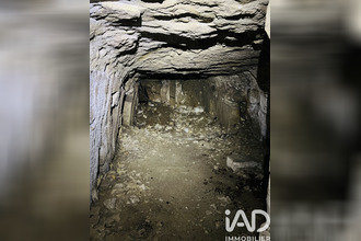 achat maison thizay 37500