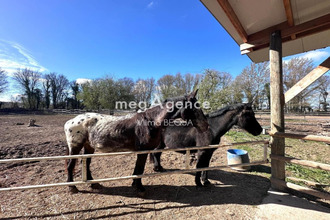 achat maison thorigny-sur-oreuse 89260