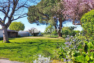 achat maison tiffauges 85130