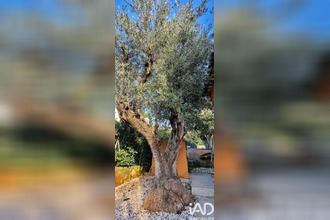 achat maison toulon 83200