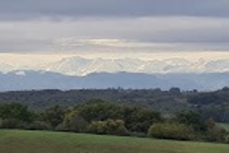 achat maison toulouse 31000